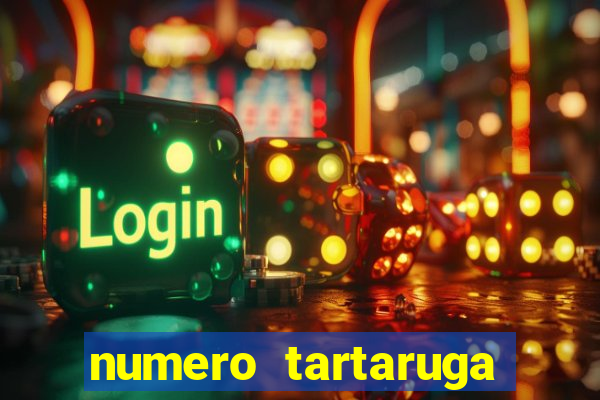 numero tartaruga jogo do bicho